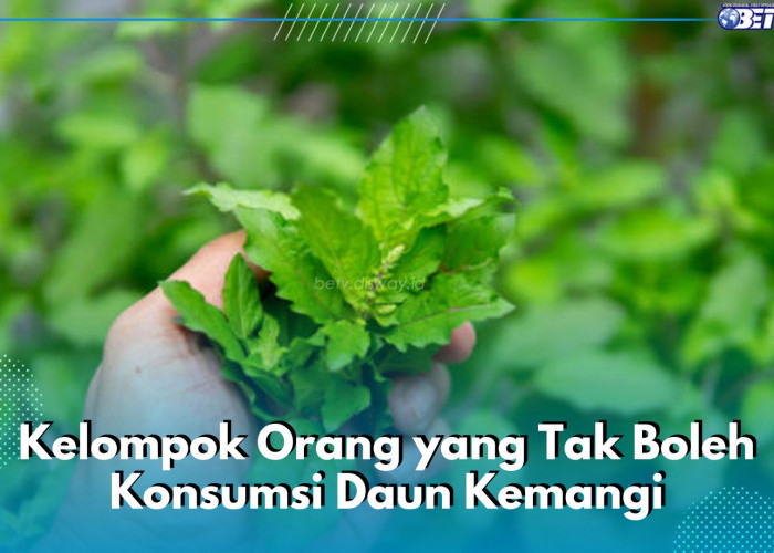 5 Kelompok Orang Ini Tak Boleh Konsumsi Daun Kemangi, Siapa Saja?