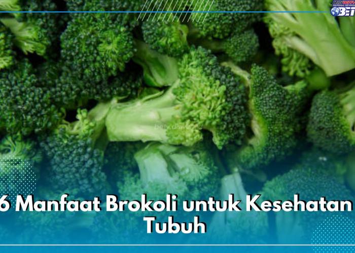 Ketahui 6 Manfaat Brokoli untuk Kesehatan Tubuh, Kandungannya Dapat Mencegah Kanker, Cek di Sini