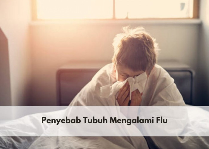 Kamu Perlu Tahu, Inilah Penyebab Tubuh Mengalami Flu dan Gejala yang Biasanya Terjadi
