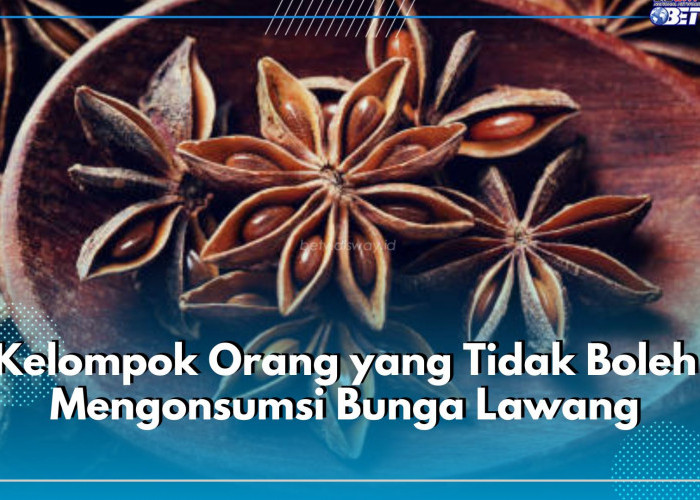 6 Kelompok Orang Ini Tak Boleh Konsumsi Bunga Lawang, Salah Satunya Wanita Hamil