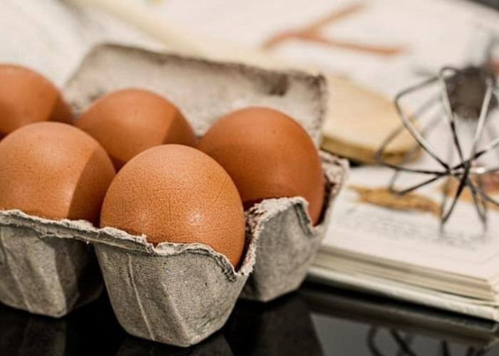 3 Ide Olahan Berbahan Telur yang Lezat dan Mudah Dibuat