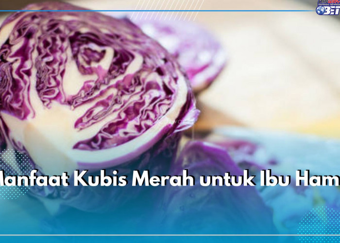 Manfaat Kubis Merah untuk Ibu Hamil Ini Sayang Dilewatkan, Cek 7 Khasiat Tersembunyinya di Sini