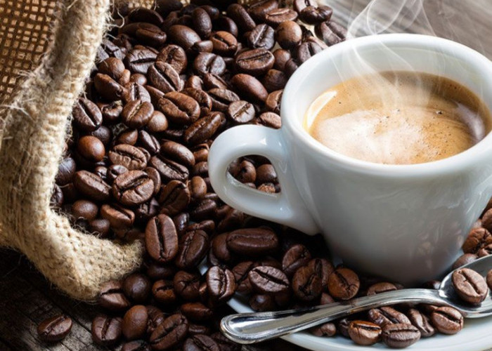 Bisa Dikonsumsi Sehari-hari, Rekomendasi Minuman Kopi Terbaik, Nikmat dan Cocok Temani Aktivitas