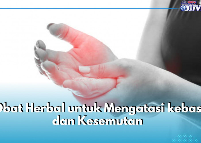 6 Obat Herbal Ini Ampuh Atasi Kebas dan Kesemutan, Salah Satunya Daun Basil