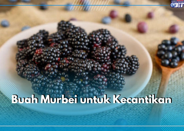 Ini 8 Manfaat Buah Murbei untuk Kecantikan, Kandungannya Ampuh Mencerahkan hingga Meregenerasi Kulit