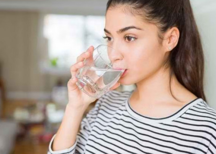 Cek Disini! Daftar Minuman yang Cocok untuk Lambung, Ada Air Putih hingga Air Kelapa