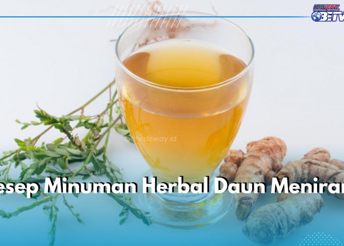 4 Resep Minuman Herbal Daun Meniran, Yuk Buat dan Klaim Khasiatnya Sekarang!