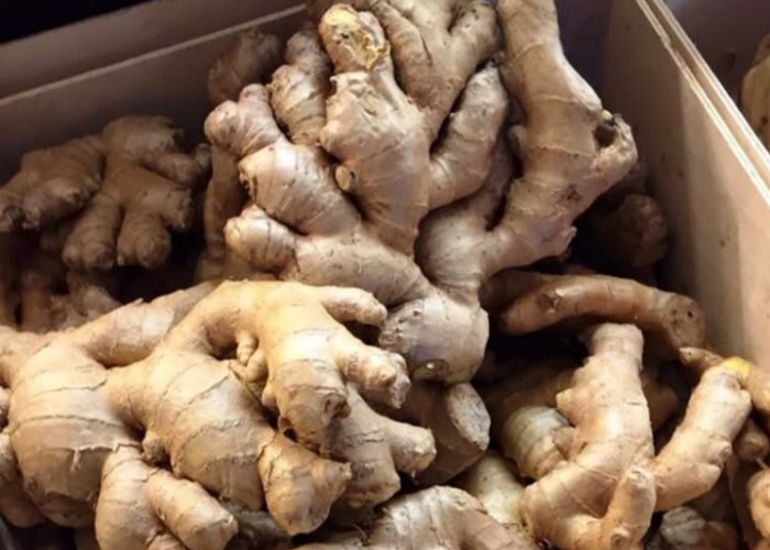 Ini Rempah yang Bisa Bantu Redakan Batuk, Mudah Ditemukan dan Bisa Diolah Jadi Minuman