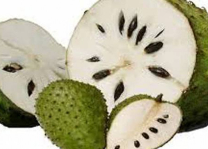 7 Manfaat Konsumsi Buah Sirsak untuk Kesehatan Tubuh, Bisa Bantu Tingkatan Imun