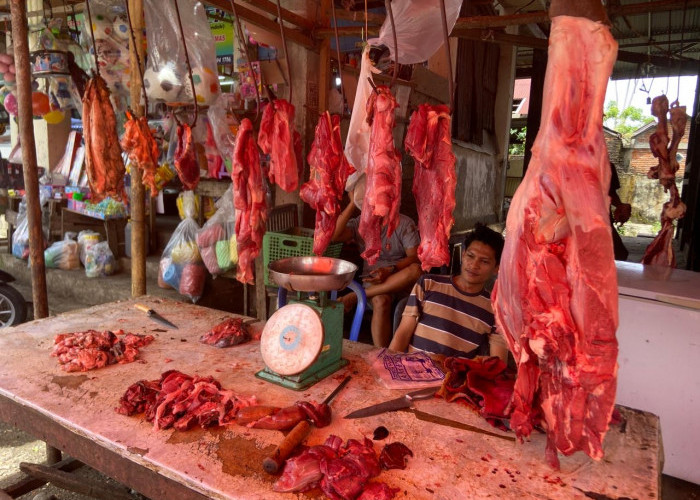 Pasca Iduladha, Harga Daging Sapi di Bengkulu Selatan Diprediksi Turun Menjadi Rp130 Ribu