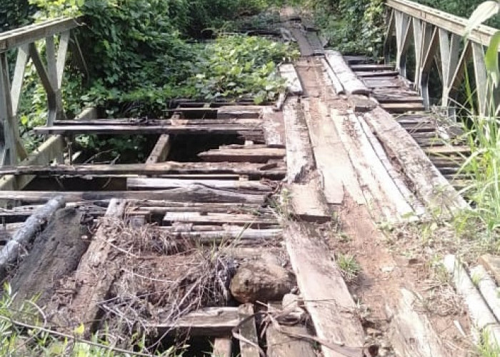 7 Tahun Jembatan Talang Beringin-Batu Ampar Dibiarkan Rusak Tanpa Perbaikan