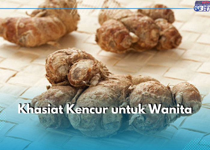 Luar Biasa! Ini 6 Khasiat Kencur untuk Wanita, Ampuh Atasi Kaki Bengkak Saat Kehamilan