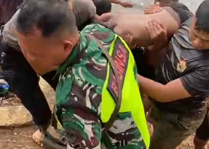 Cari Ikan Gabus, Bocah 9 Tahun Tenggelam di Rawa DDTS Bengkulu