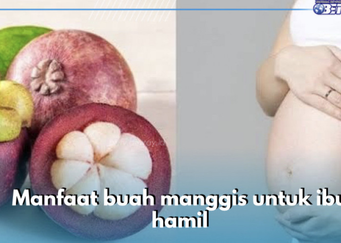 5 Manfaat Buah Manggis untuk Ibu Hamil, Obati Sembelit Salah Satunya