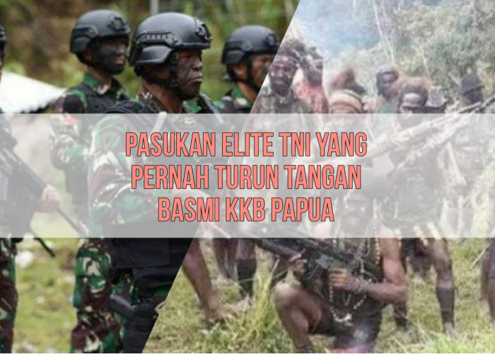 Keren! Ini Deretan Pasukan Elite TNI yang Pernah Turun Tangan Basmi KKB Papua