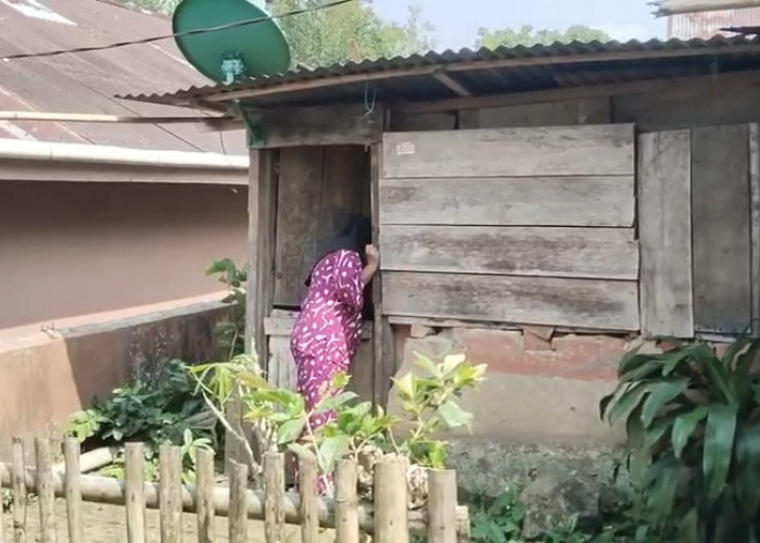Janda Dibalik Rumah 'Papan' Reyot, Realita Pahit Ketimpangan Sosial
