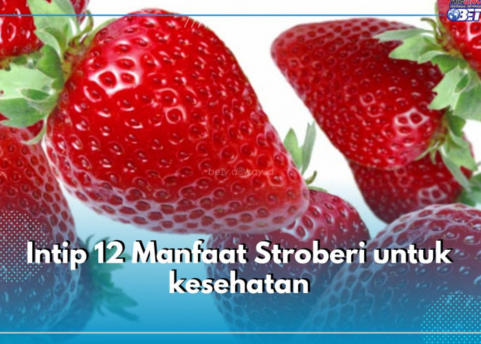 Mencegah Risiko Kanker, Intip 12 Manfaat Stroberi untuk kesehatan