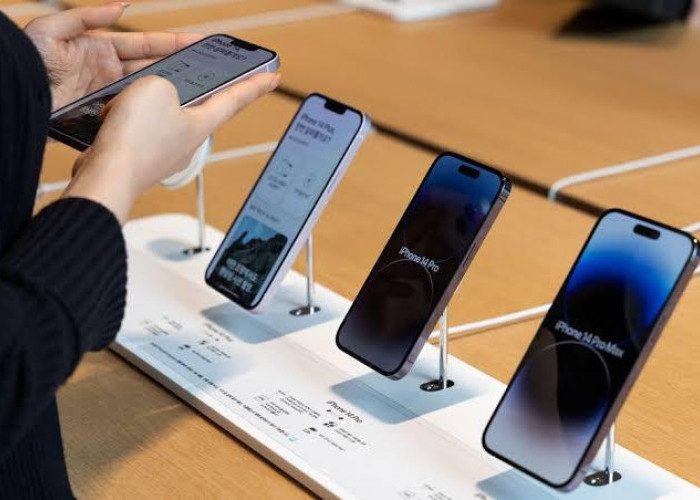 Tertarik Beli iPhone? Ini 6 Rekomendasi HP Apple yang Masih Layak Dibeli Tahun 2024 