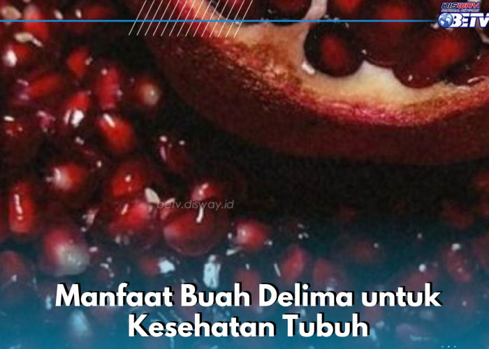 Kamu Perlu Tahu! Buah Delima Ini Mampu Meningkatkan Daya Ingat, Cek Manfaat Lengkapnya di Sini