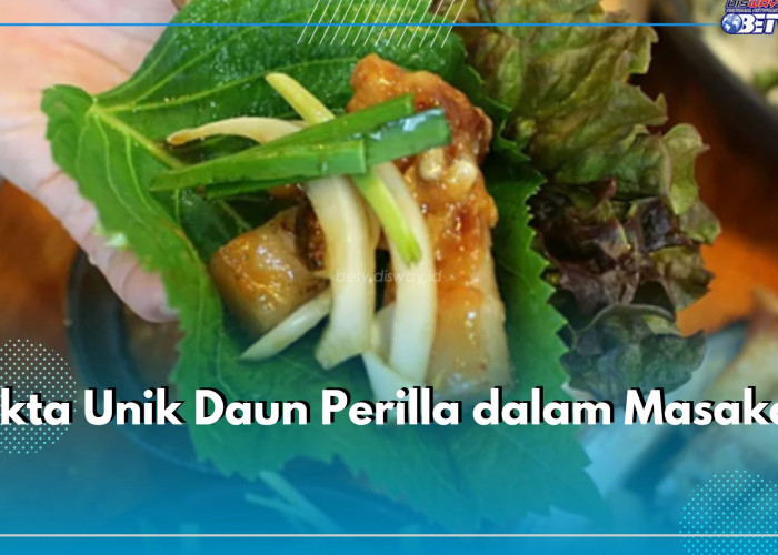 6 Fakta Unik Daun Perilla Bagi Masakan, Nomor 1 Sangat Tidak Biasa