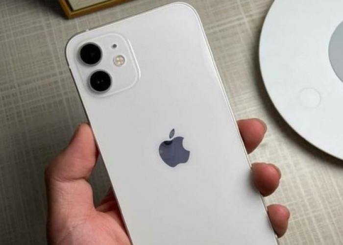 Masih Layak di Pakai, Intip Harga Terbaru iPhone 11 di Bulan Maret 2024 Ini