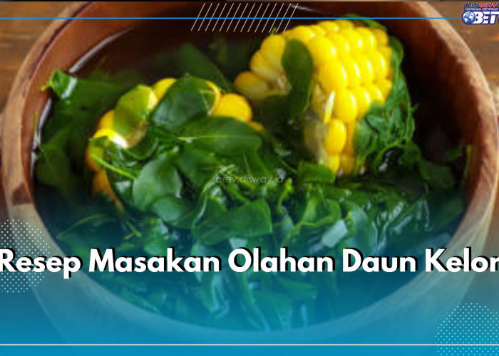 3 Resep Masakan Olahan Daun Kelor yang Lezat dan Berkhasiat, Ada Sayur Bening hingga Bolu Kelor