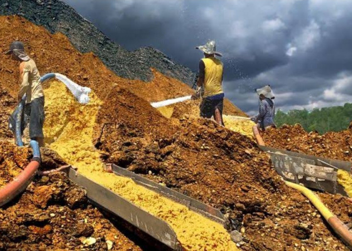 Mengintip Potensi Emas di Bengkulu, Benarkah Bisa Kalahkan Freeport? 