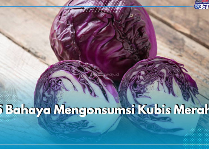 5 Bahaya Mengonsumsi Kubis Merah Secara Berlebihan, Ini Tips Mengurangi Efek Sampingnya