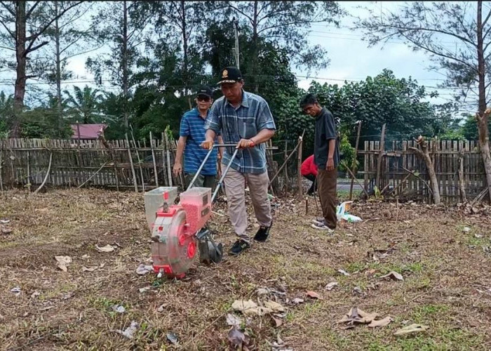 Sinergi Polres dan Pemkab Kaur Manfaatkan Lahan PKK Untuk Ketahanan Pangan