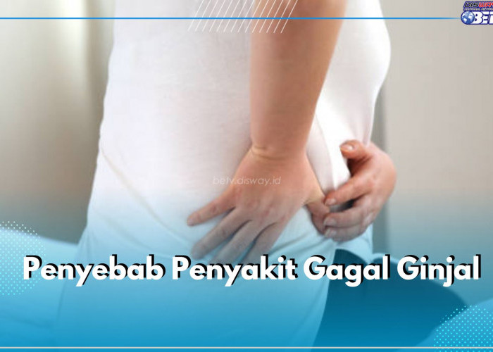 Kenali 8 Penyebab Penyakit Gagal Ginjal Ini dan Cegah Sejak Dini, Apa Saja?