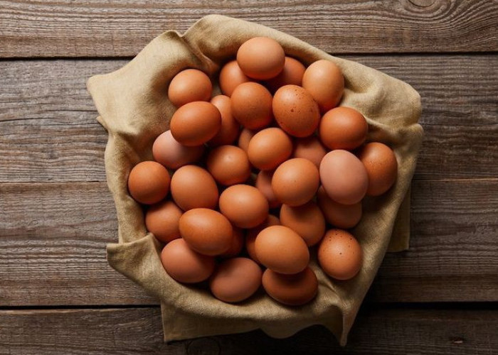 Kamu Harus Tahu! Inilah 5 Ciri Telur Berkualitas dan Layak Dikonsumsi, Cek Dahulu Sebelum Membeli