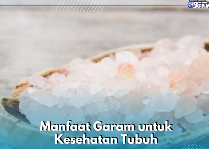 Manfaat Garam bagi Kesehatan Tubuh, Dipercaya Dapat Mengurangi Nyeri Sariawan, Cek Sekarang di Sini