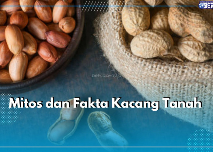 Benarkah Kacang Tanah Bikin Berat Badan Naik? Cek Mitos dan Faktanya di Sini dan Temukan Jawabannya!