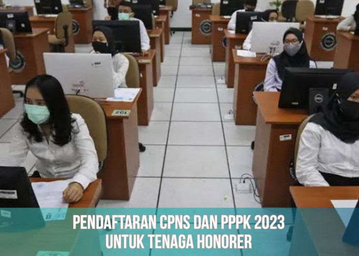 Pendaftaran CPNS dan PPPK 2023, 80 Persen Formasi untuk Tenaga Honorer, Simak Info Terbarunya!