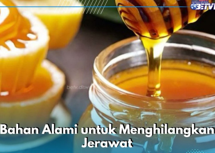 Jerawat Langsung Hilang, Cukup Siapkan Bahan Alami Ini! Dijamin Kulit Wajah Makin Sehat