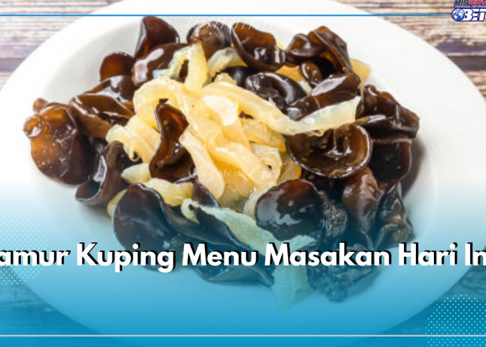 Menu Masakah Hari Ini: Tumis Jamur Kuping Pedas Manis, Cek 3 Resep Lainnya di Sini