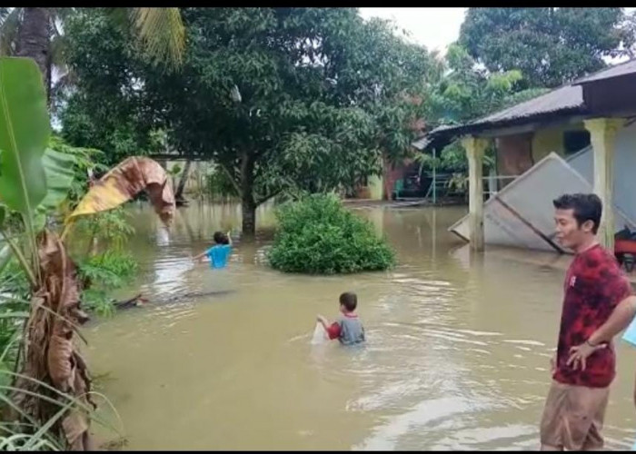 Sempat Berangsur Surut, Banjir Kembali Genangi Kota Bengkulu 