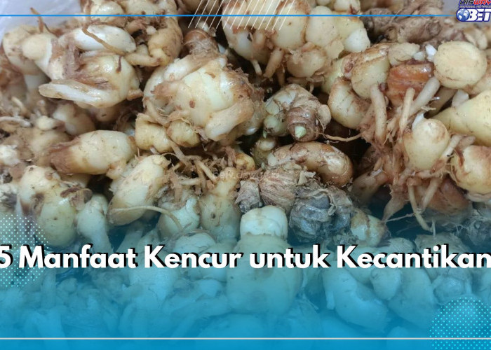 5 Manfaat Kencur untuk Kecantikan yang Sayang Banget Dilewatkan