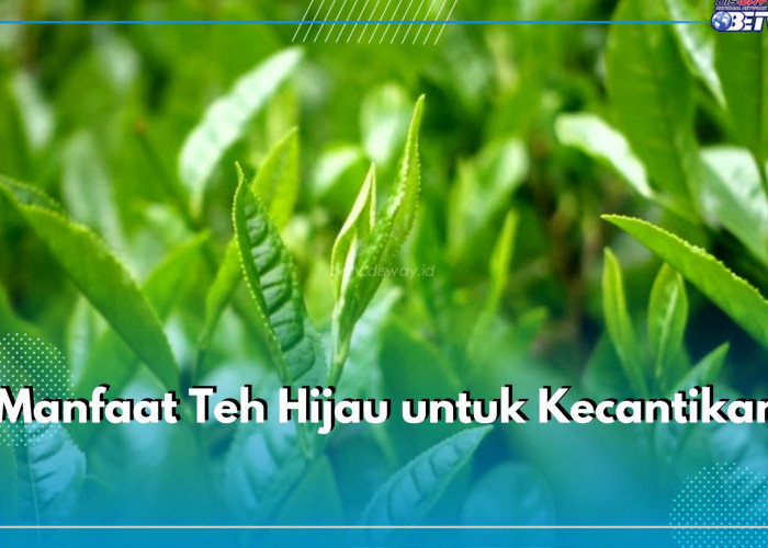 5 Manfaat Tersembunyi Teh Hijau untuk Kecantikan, Mampu Atasi Mata Panda hingga Mencerahkan Kulit