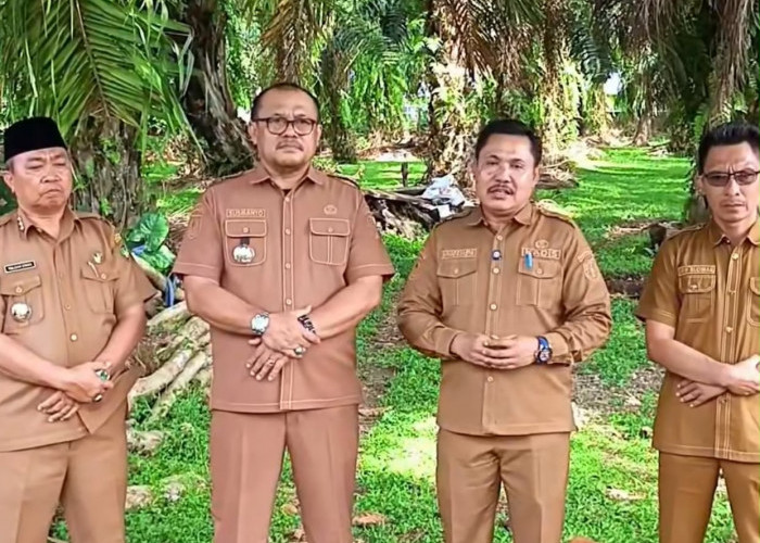 9 Hektare Aset Pemkab Bengkulu Selatan di Kayu Kunyit Diproyeksikan Jadi Kawasan Pertanian