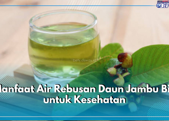 Air Rebusan Daun Jambu Biji Bisa Jadi Obat Herbal, Ini 6 Manfaat yang Ditawarkan