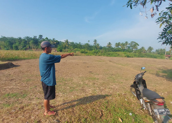 Irigasi Rusak, Ratusan Hektar Sawah di Bengkulu Tengah Kekeringan, Tak Bisa Ditanami Padi