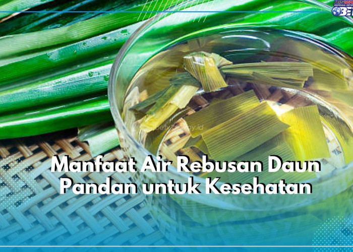 Air Rebusan Daun Pandan Ampuh Dalam Melawan Penyakit, Klaim Manfaatnya Disini!