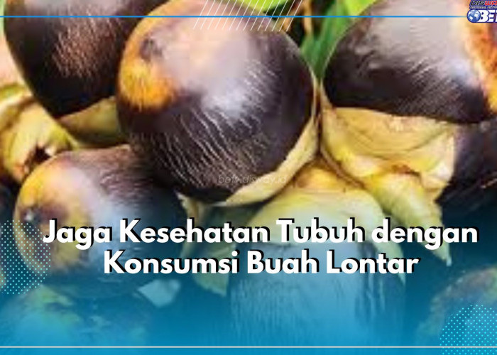 Tak Hanya untuk Kulit, Ini Ragam Manfaat Buah Lontar untuk Kesehatan Tubuh, Nomor 1 Paling Dibutuhkan Seharian