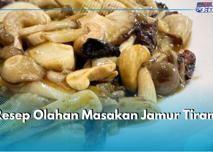 Yum! Ini 4 Resep Olahan Masakan Jamur Tiram, Ada Tumis Jamur hingga Nasi Goreng