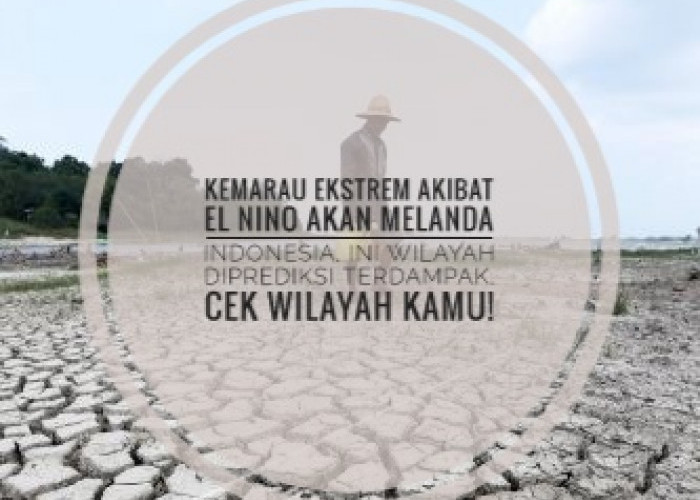 Kemarau Ekstrem Akibat El Nino Akan Melanda Indonesia, Ini Wilayah Diprediksi Terdampak, Cek Wilayah Kamu!
