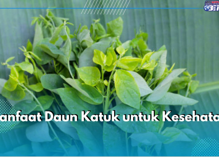 Punya Segudang Nutrisi, Ini 7 Manfaat Daun Katuk untuk Kesehatan