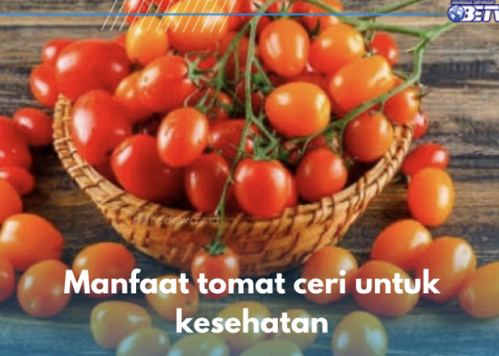 Mengulik Manfaat Tomat Ceri untuk Kesehatan, Buah Segar Penurun Tekanan Darah