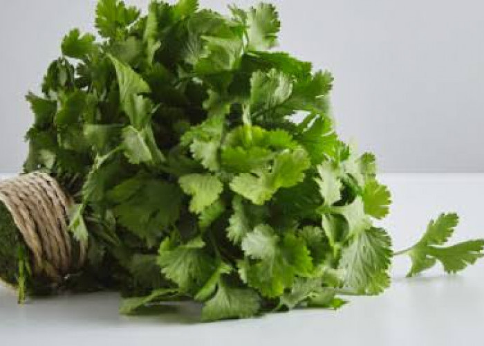 4 Cara Mendapatkan Manfaat Maksimal dari Daun Ketumbar, Simak di Sini!
