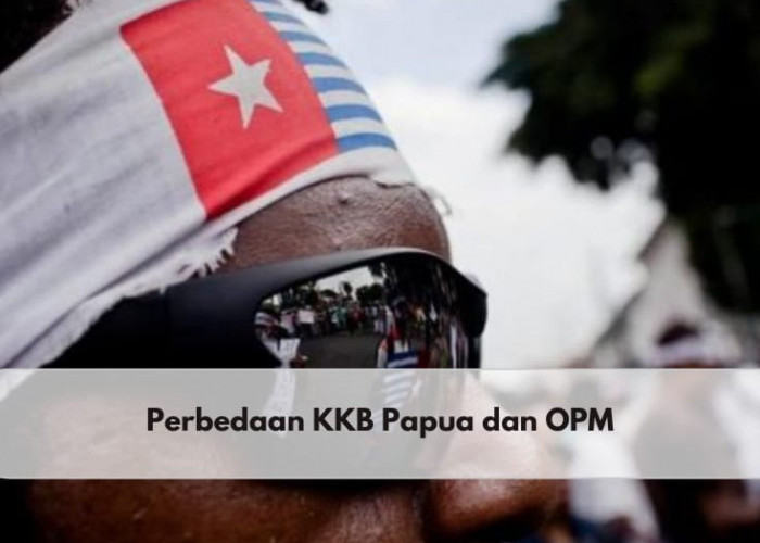 Masih Buron, Inilah Perbedaan KKB Papua dan OPM yang Menjadi Pelaku Aksi Separatis Negara